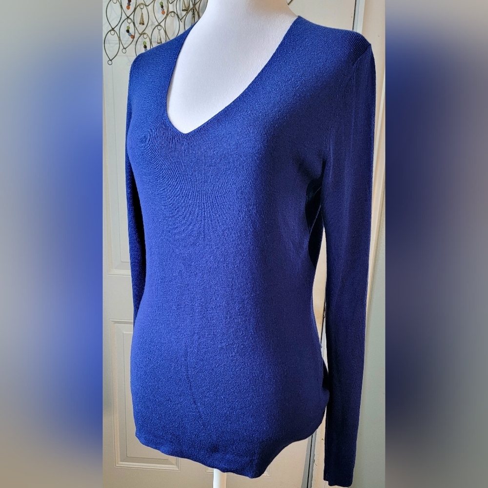 Banana Republic Silk & Cotton Lightweight V Neck Sweater Women's M Royal Blue